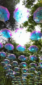 傘のアーケードの写真