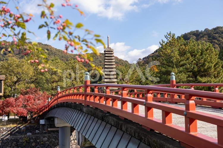 京都宇治の朝霧橋と紅葉と青空 紅葉,もみじ,宇治川の写真素材
