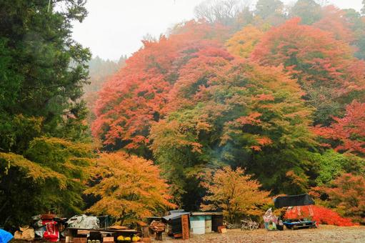 養老渓谷 養老渓谷,筒森もみじ谷,紅葉の写真素材