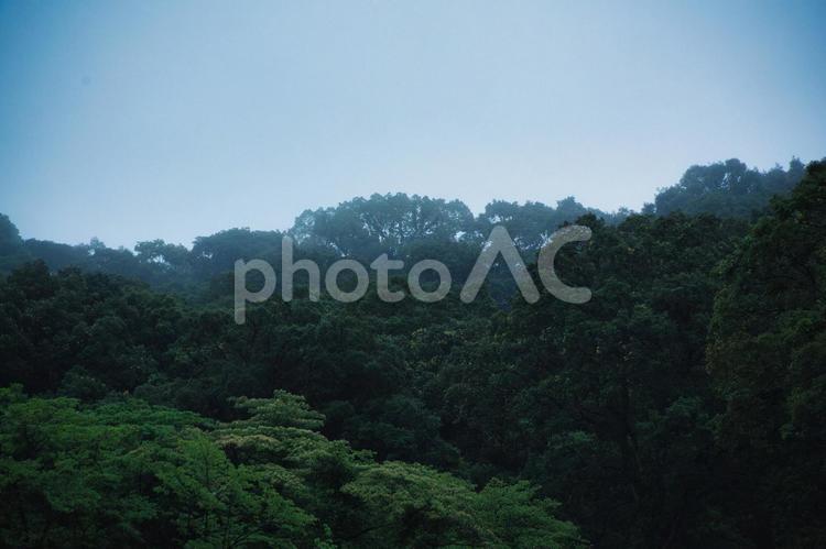 霧のかかる山 web,素材,バックグラウンドの写真素材