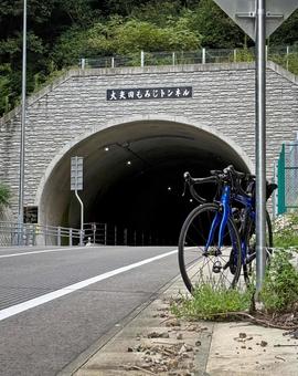 大矢田もみじトンネル 大矢田もみじトンネル,トンネル,隧道の写真素材