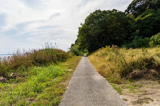 静岡県浜松市 秋の浜名湖　大崎　ハマイチ 日本,浜名湖周遊自転車道,ハマイチの写真素材