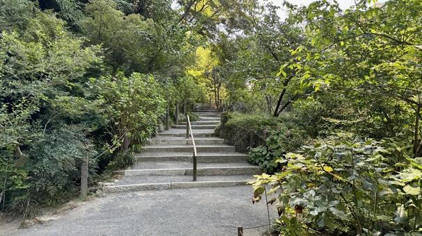広場 広場 明月院,寺社仏閣,広場の写真素材