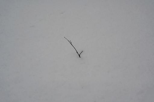 谷川岳への道のり 谷川岳への道のりの写真