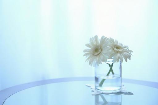 静かな時間 ガーベラ,背景素材,テーブルフォトの写真素材