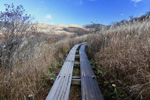 八島湿原 高原,草原,湿原の写真素材