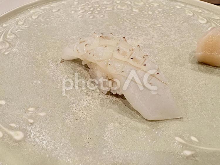 表面を炙ったイカの握り寿司 いか,食べ物,食事の写真素材