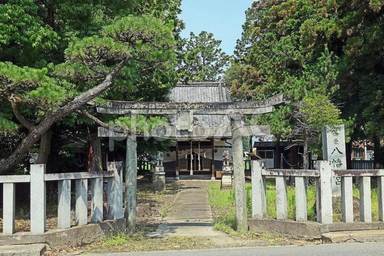 篠原八幡神社（甲斐） 篠原八幡神社,誉田和気尊,息長足姫尊の写真素材