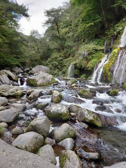 清流 清流,滝,川の写真素材
