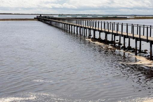 海へ幾重にも伸びる桟橋 海へ幾重にも伸びる桟橋 野付半島,砂嘴,トドワラの写真素材