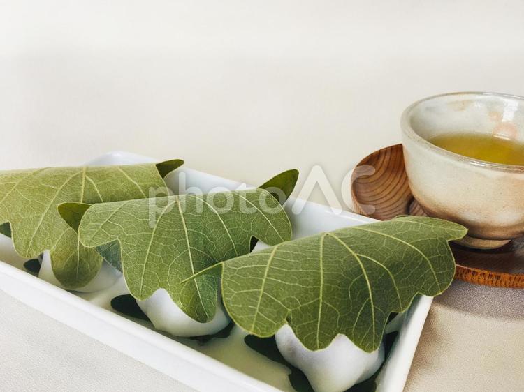 お皿にのせた3つの柏餅とお茶（右から） 柏餅,端午の節句,こどもの日の写真素材