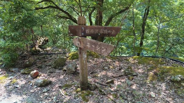 ユーシン渓谷の林道の道しるべの写真