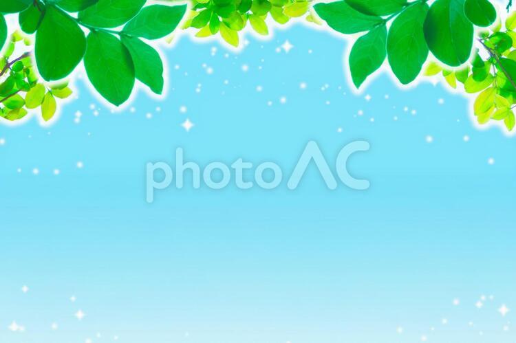 緑　明るい空とキラキラ　星 キラキラ,みどり,黄緑の写真素材