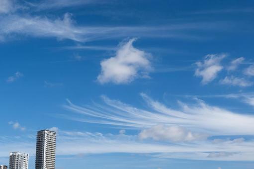 ビルと夏の青空2 ビルと夏の青空2の写真