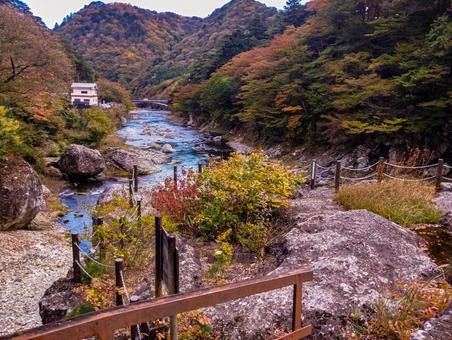 野立岩から箒川の紅葉 野立岩,紅葉,秋の写真素材