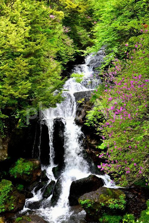 竜頭の滝（栃木日光） 滝,風景,竜頭の滝の写真素材