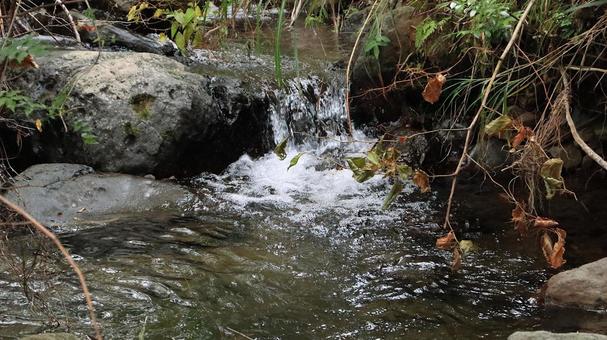 秋の細野高原の水源地から流れる冷たい水 清流,秋,水の写真素材