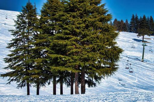 ゲレンデ ゲレンデ,背景,無人の写真素材