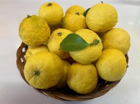 かご盛りの柚子③ 冬至,柚子,かご盛りの写真素材