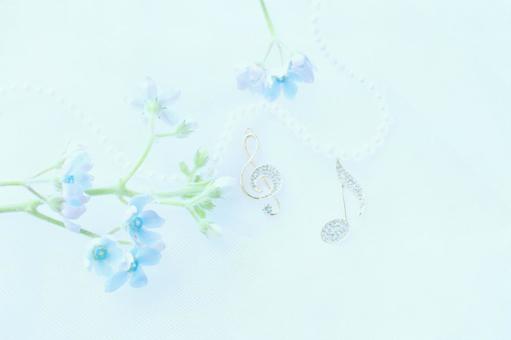 青い花と音符 青い花と音符 花,ブルースター,音符の写真素材