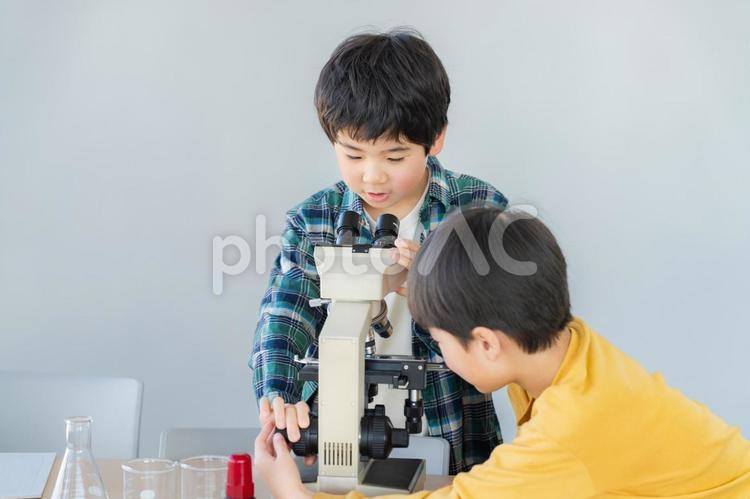 顕微鏡で観察する小学生 顕微鏡,観察,理科の写真素材