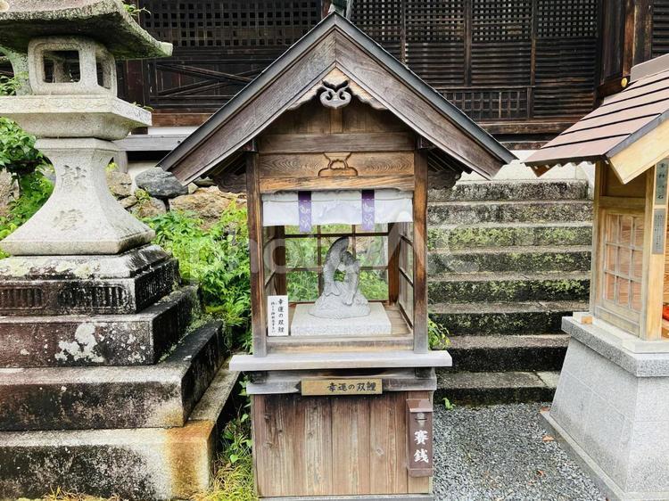 松尾大社　幸運の双鯉 松尾大社,京都府京都市,嵐山の写真素材