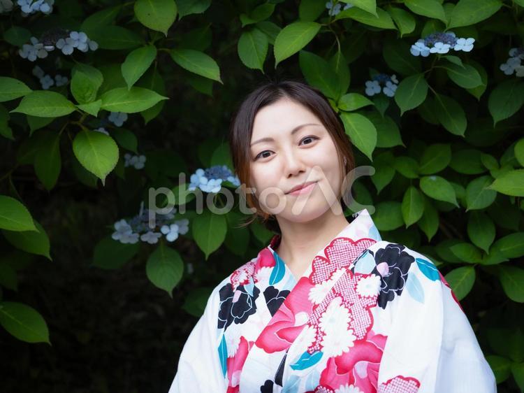 32：紫陽花と浴衣の女性 紫陽花,あじさい,浴衣の写真素材