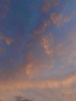 Photo, sky, landscape, morning glow, 
