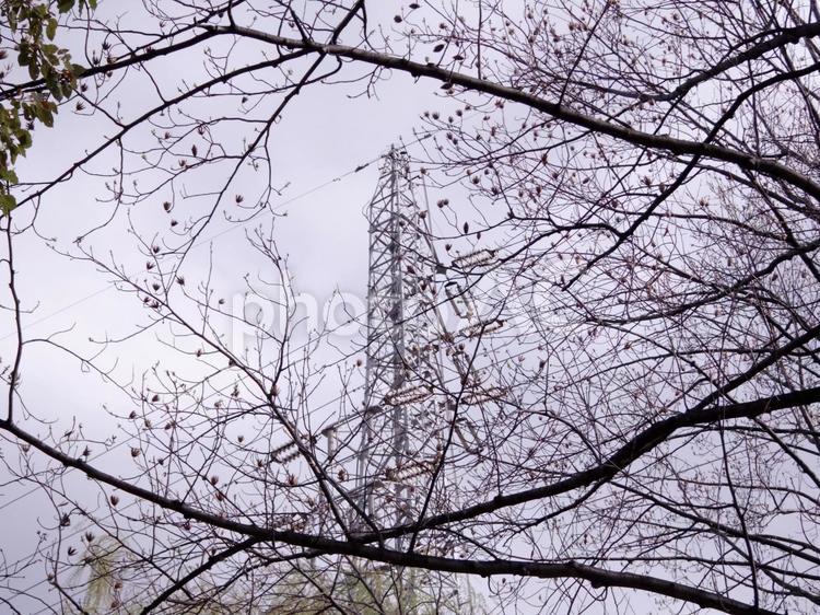 鉄塔がある風景 鉄塔,送電線,電線の写真素材