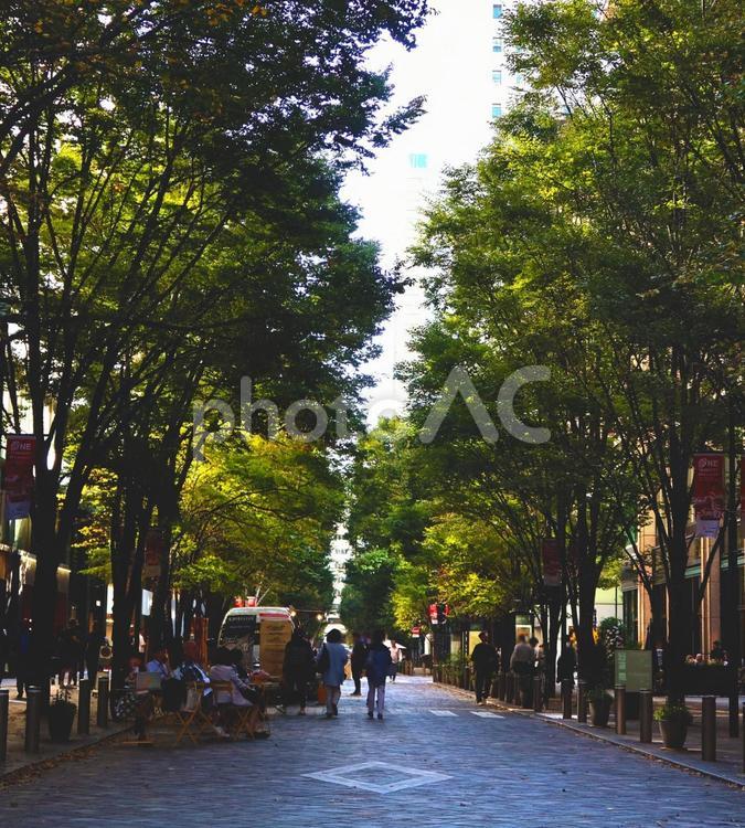 東京　丸の内仲通りの風景 丸の内,道路,道の写真素材