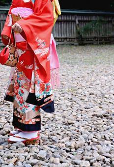 7歳の七五三 7歳の七五三 七五三,着物,神社の写真素材