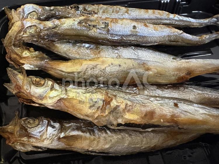 子持ちししゃも焼き ししゃも,子持ちししゃも,いい焼き加減の写真素材