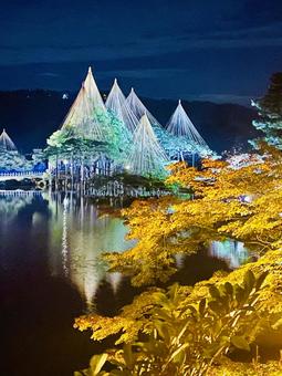 兼六園紅葉ライトアップ 兼六園,紅葉,金沢の写真素材