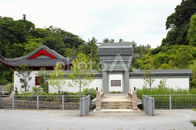 上海横浜友好園 上海横浜友好園,中国庭園,本牧の写真素材