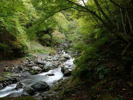 笊ヶ岳 登山道 広河原 笊ヶ岳 登山道 広河原の写真