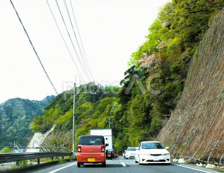 川根の桜トンネル目指して　大渋滞 渋滞,大渋滞,車の写真素材