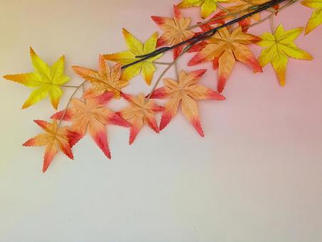 秋イメージ(紅葉)1 秋イメージ(紅葉)1 秋,紅葉,もみじの写真素材