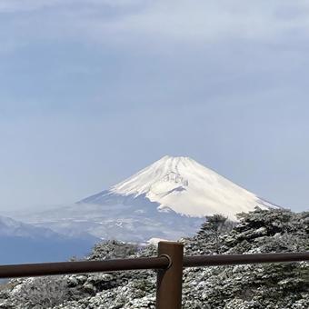 Mount Fuji the day after it snowed, fuji mountain, snow, wood, JPG