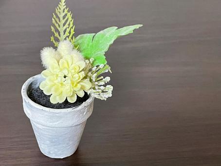 裝飾, JPG 裝飾, 花卉, 植物, 花盆, JPG
