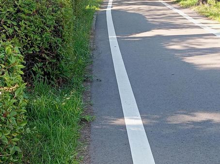 夏のアスファルト 夏のアスファルト 夏,アスファルト,道路の写真素材