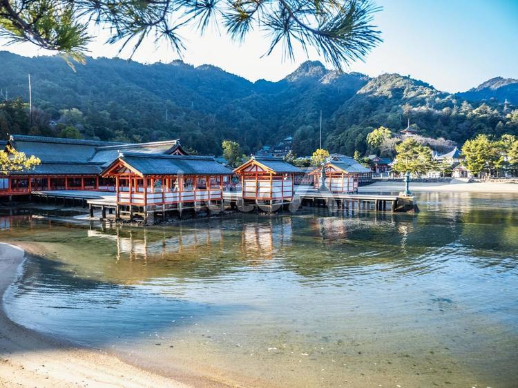宮島　嚴島神社 宮島,嚴島神社,広島県の写真素材