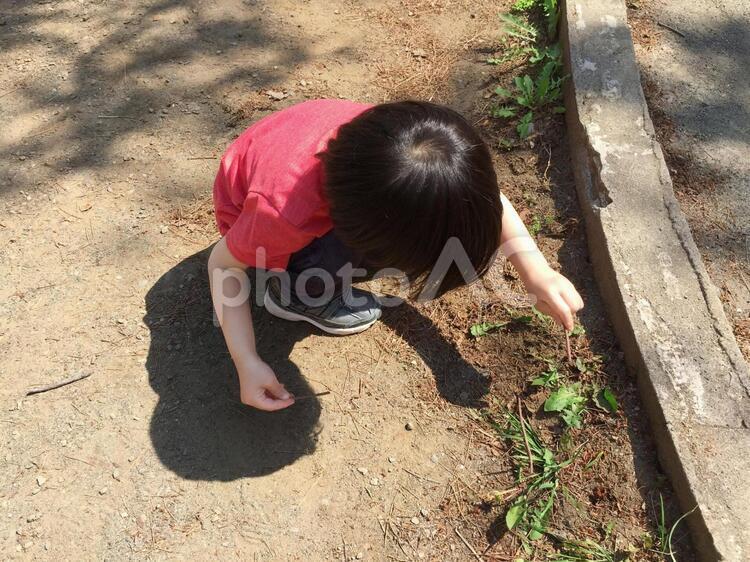 外遊びをする男の子 遊ぶ,公園,こどもの写真素材