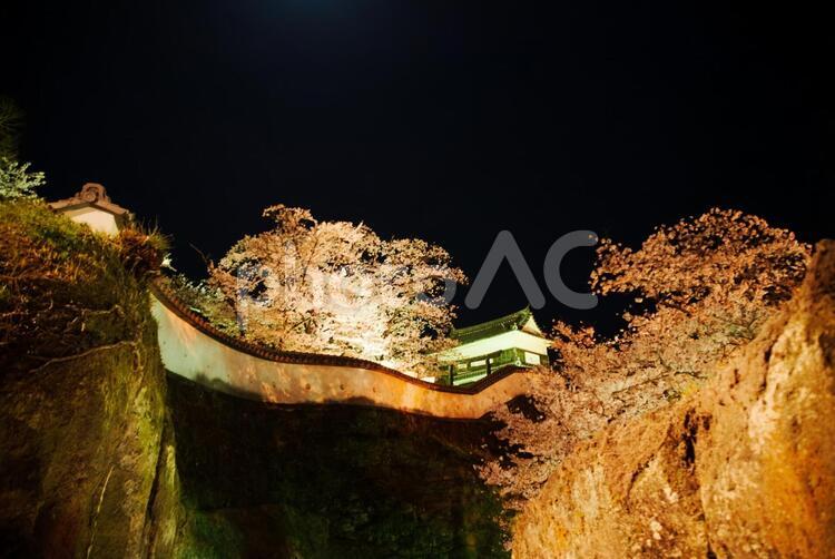 臼杵城址桜まつりライトアップ 臼杵城址,彫刻,歴史の写真素材