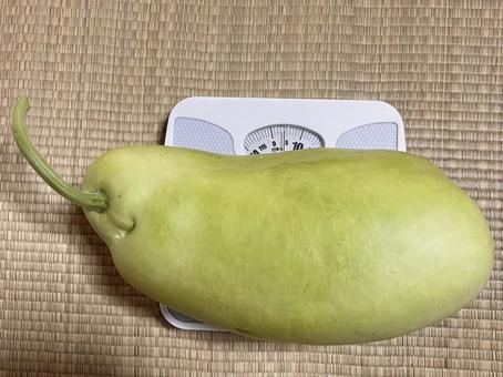 「ビッグサイズのゆうがお」イメージ素材 夕顔,ゆうがお,野菜の写真素材