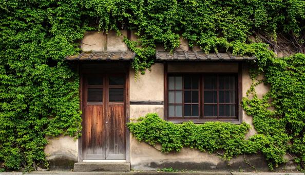 緑のカーテンのある木造の建物02 緑のカーテンのある木造の建物02の写真