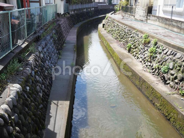 住宅街の中にある小川 住宅街,小川,自然の写真素材