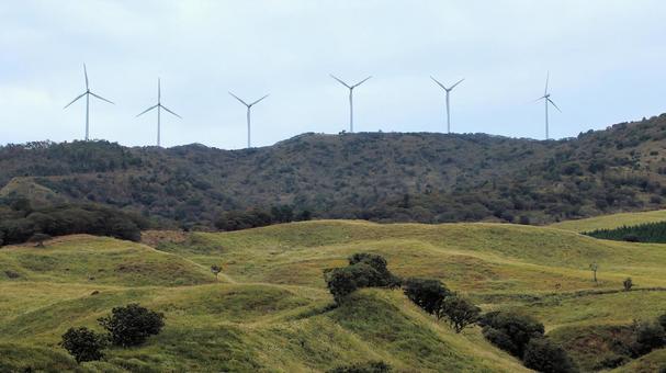 稲取細野高原のすすき野原　4 稲取細野高原,ススキ,秋の写真素材