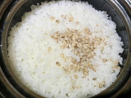 もち麦と白米/土鍋で1合炊き もち麦と白米/土鍋で1合炊き もち麦,ご飯,土鍋の写真素材