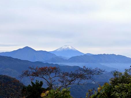 富士山 富士山,山,自然の写真素材