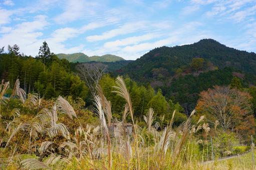秋の里山・ススキのある風景 秋の里山・ススキのある風景 里山,ススキ,秋の写真素材